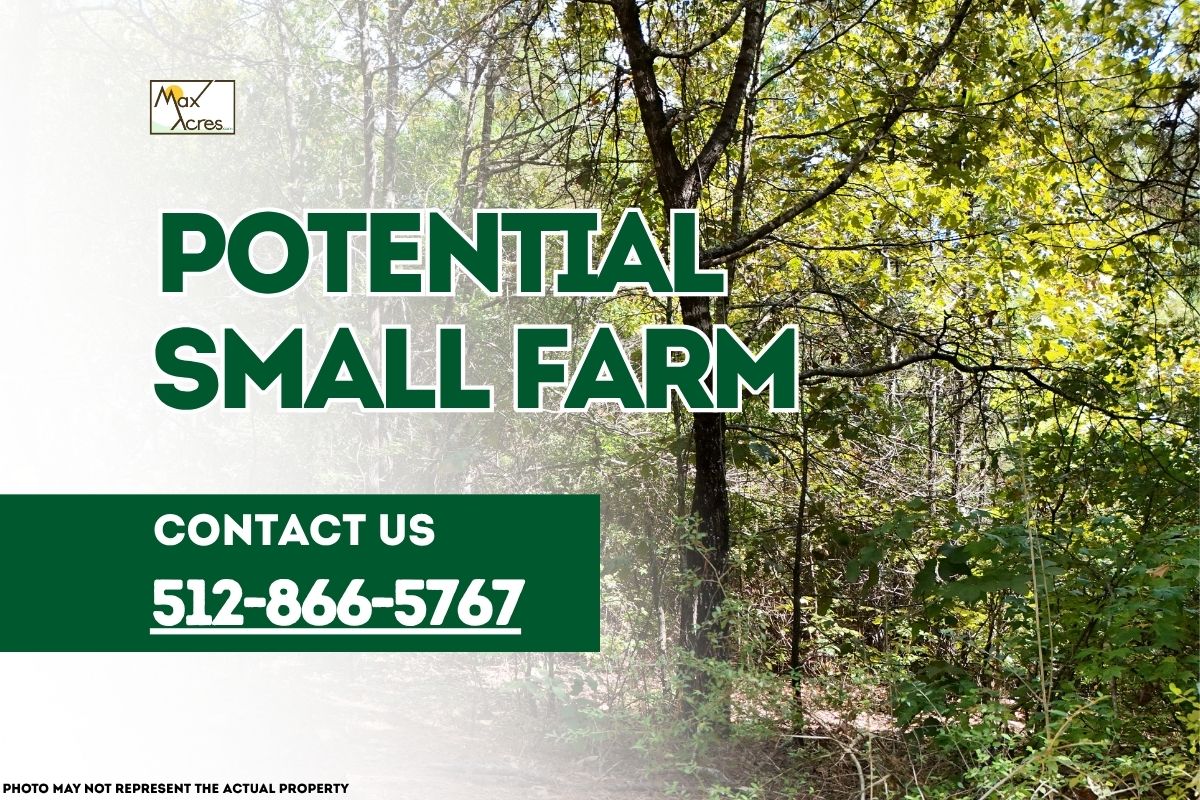 Wooded open land suitable for small farming with text overlay reading "Potential Small Farm – Contact 512-866-5767" by Max Acres.