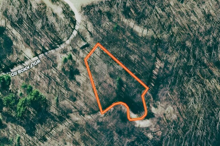 1.2 Carl Randle _ Jackson NC _ Back up 2 (772x498)