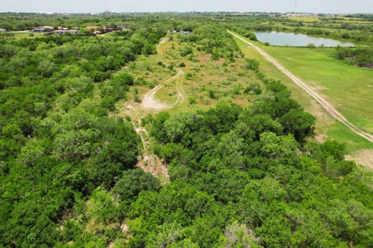 1.6 Patricia_L-1205_Cleveland St, Karnes, TX_0.16AC (1200x800)