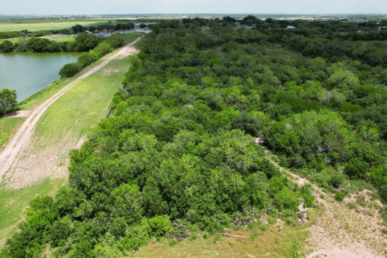 1.7 Patricia_L-1205_Cleveland St, Karnes, TX_0.16AC (1200x800)