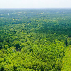 Trusted land company, How to buy land property