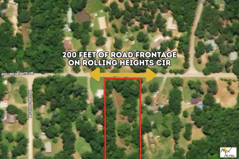 2 Sandra Zamora_Kaufman TX Web (1200 x 800 px)