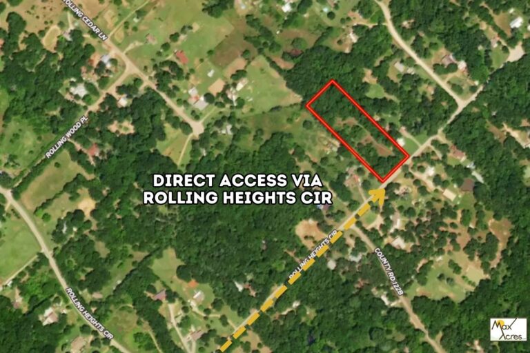 3 Sandra Zamora_Kaufman TX Web (1200 x 800 px)