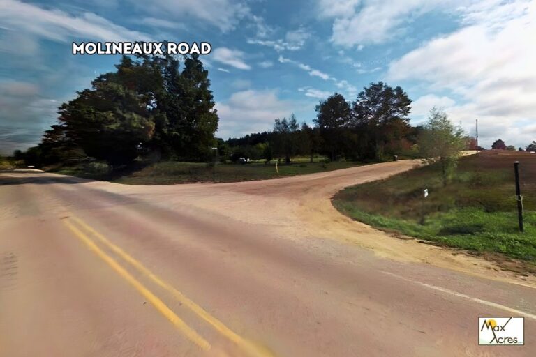 3.1 Jason Youngs _ MI _ Street View (772x498)