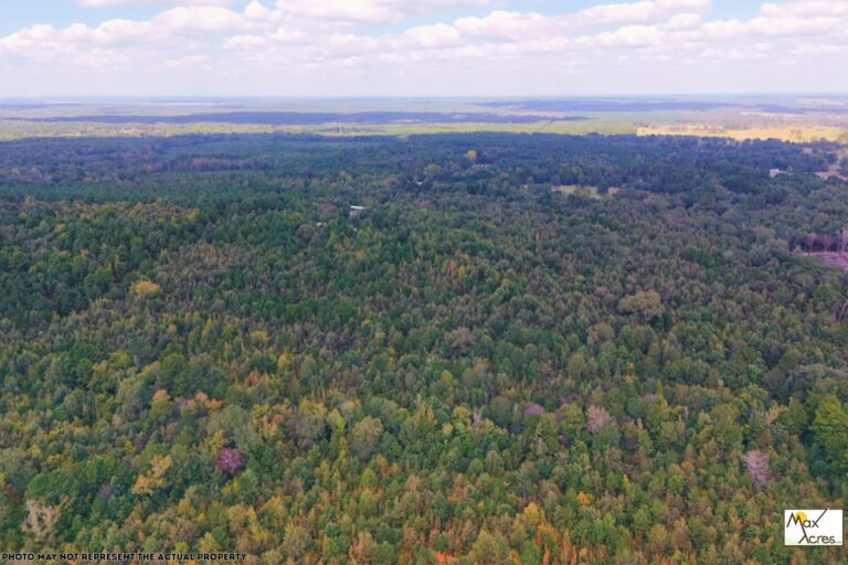 5.10 Linda Stoker_Marion TX (772x498)