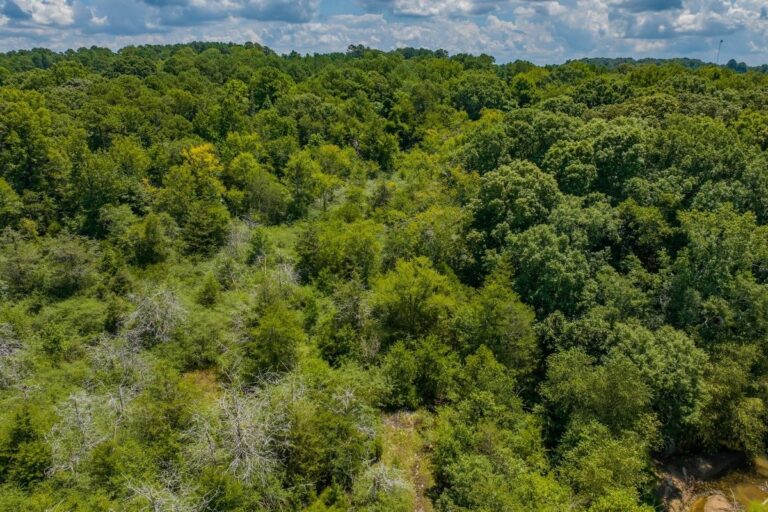 6.11 Shoal Creek Campground_Lavonia, GA (772x498)