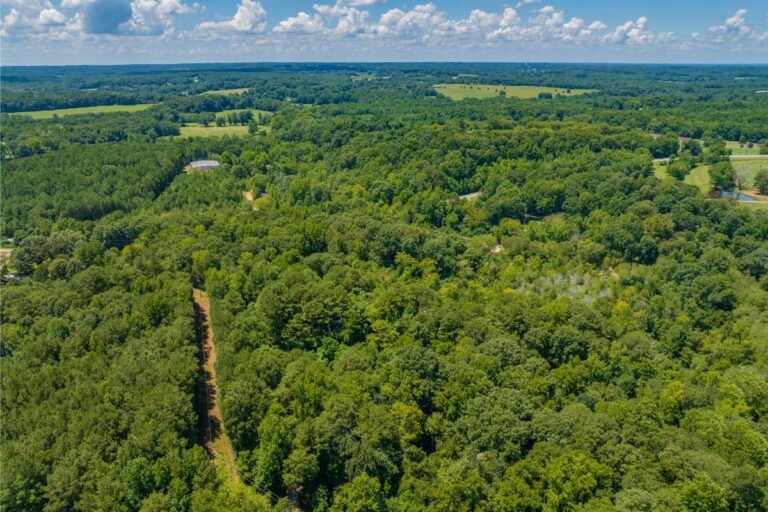 6.6 Shoal Creek Campground_Lavonia, GA (772x498)