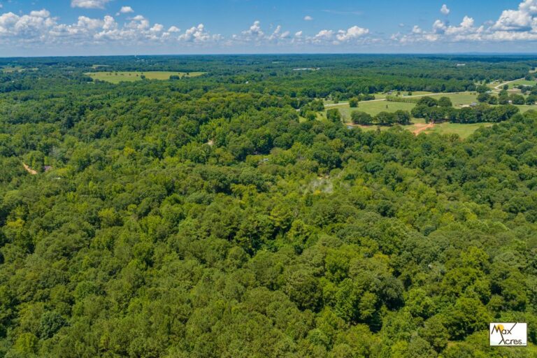 6.7 Shoal Creek Campground_Lavonia, GA (772x498)