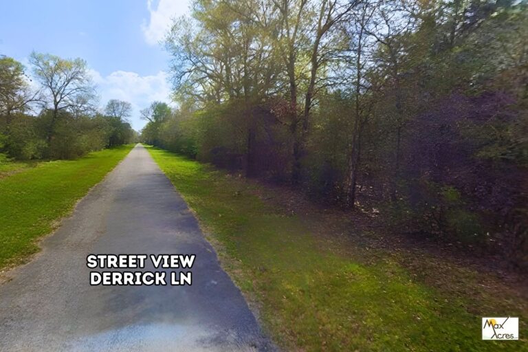 _LYNN PREWIT_Waller TX Street View