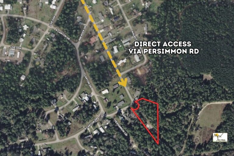 2.3 Marco Arredondo_Onalaska, TX Web (1200x800)